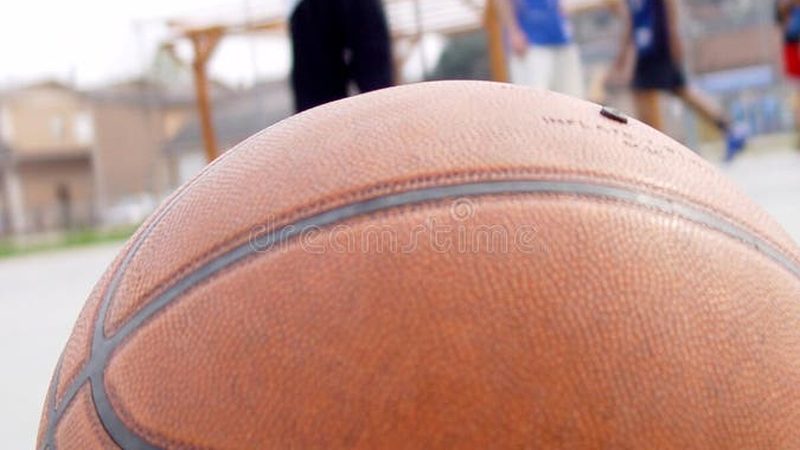 园林工程报价单模板：揭秘其关键要素与编制技巧