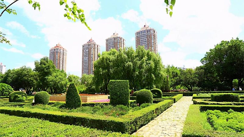 商场立体绿化：设计、施工与维护周期全解析**
