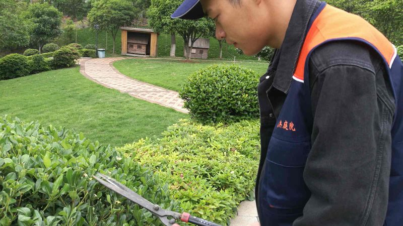 屋顶绿化，防水养护不可忽视**