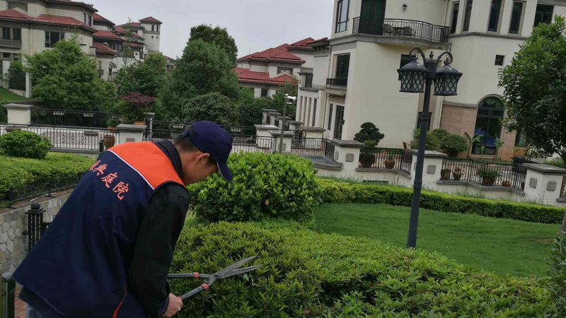 造林和苗木种植，选树逻辑大不同