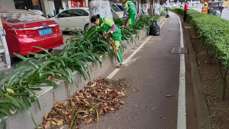 庭院草坪铺设人工费报价揭秘：成本构成与影响因素