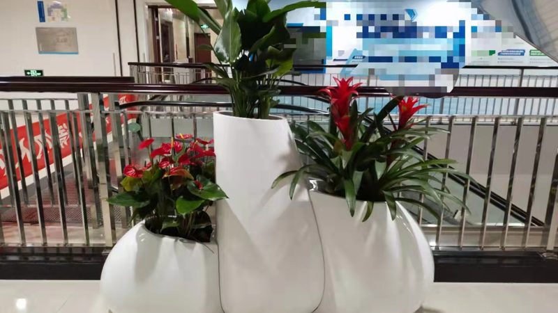 商场花卉租摆，如何把握季节性更换的节奏？**