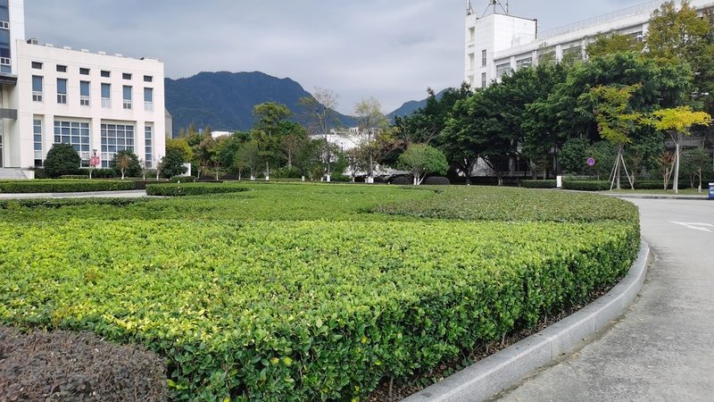 木质围栏厂家哪家性价比高