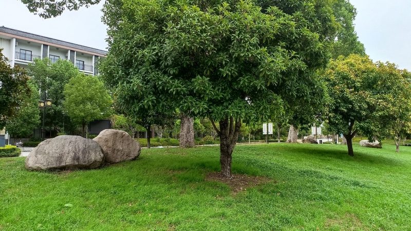 别墅花园设计材料选择：避免常见误区，打造理想花园